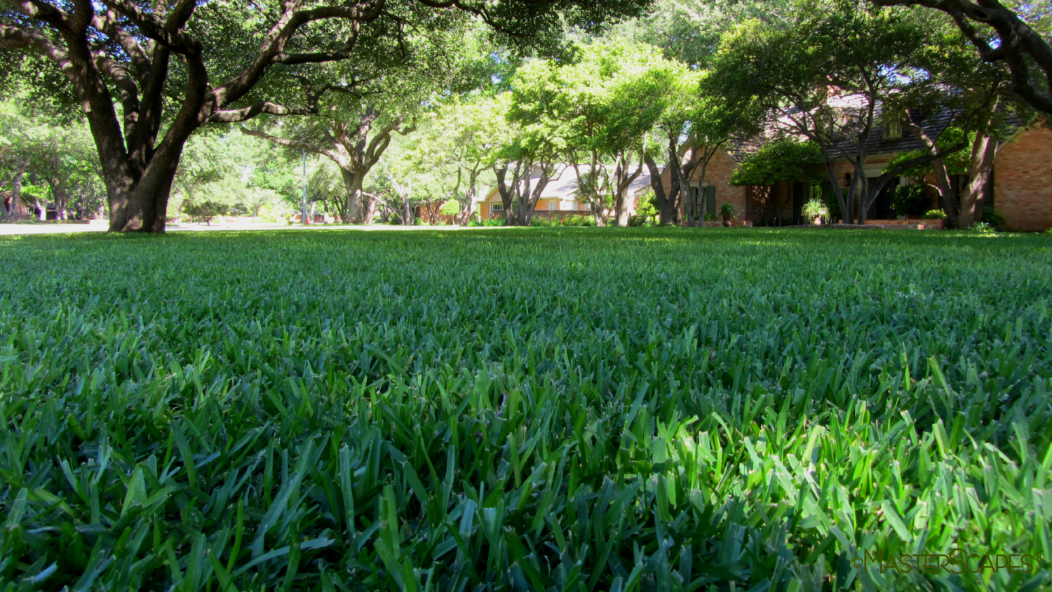 Fort Worth Commercial Lawn Care Service