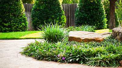 Landscaping Company in Forth Worth