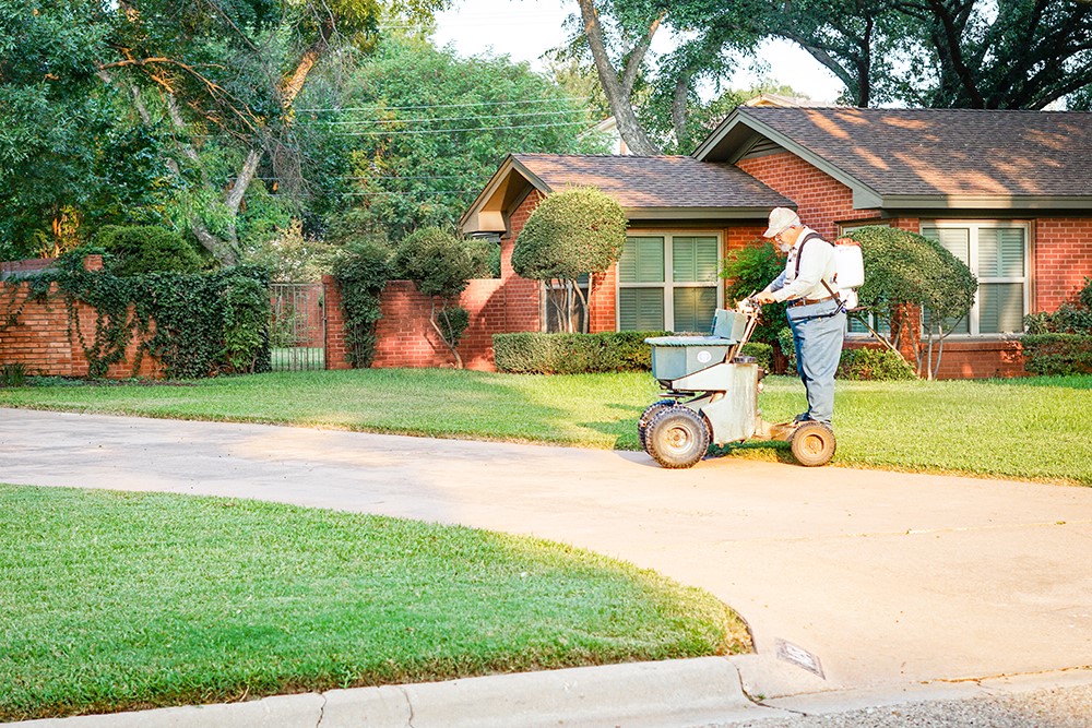 top treatments for your lawn