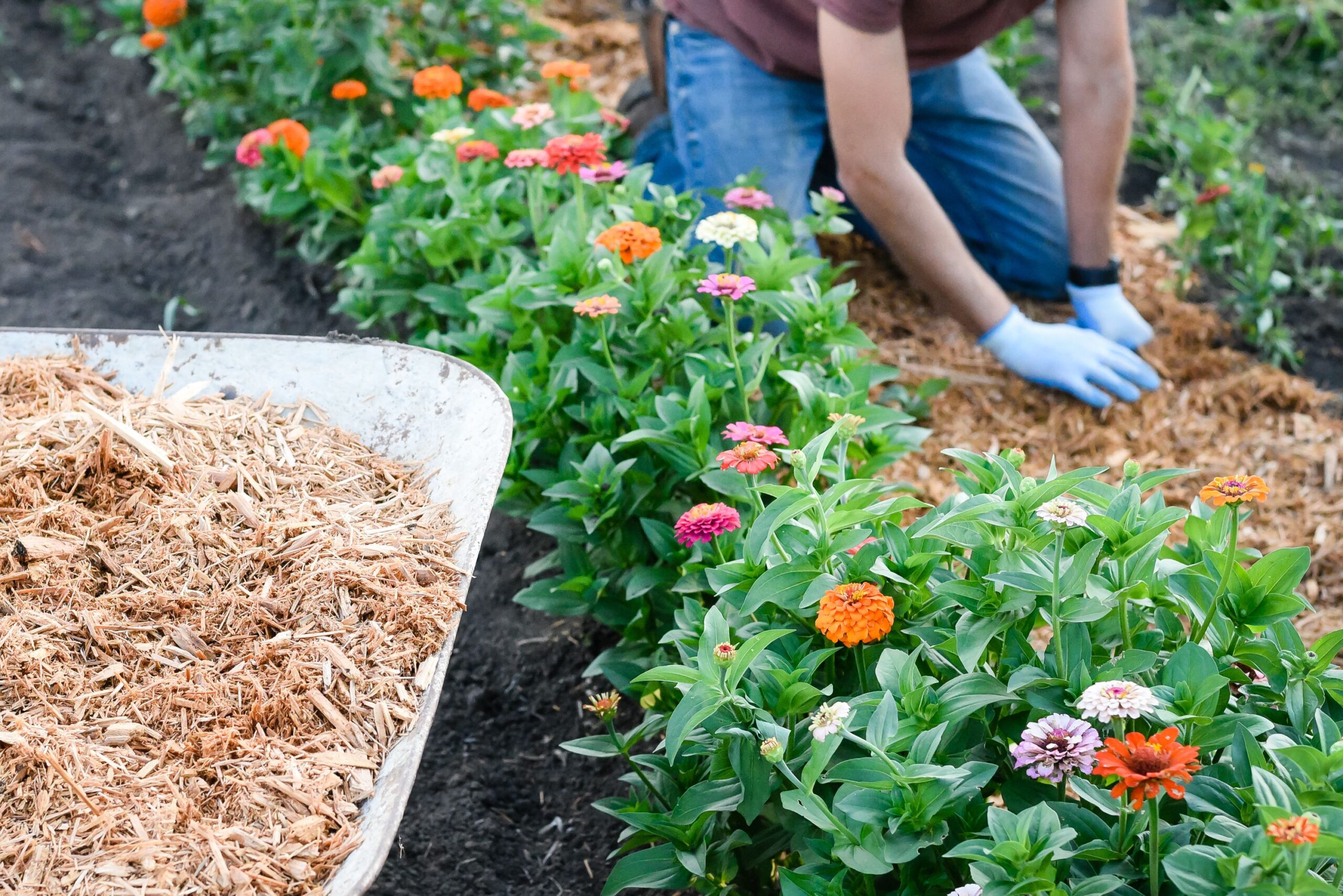 reasons to mulch your property